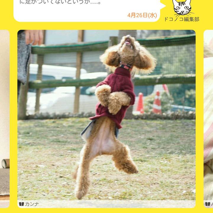 79654a34 17de 41be 8e30 21cd929b58ef