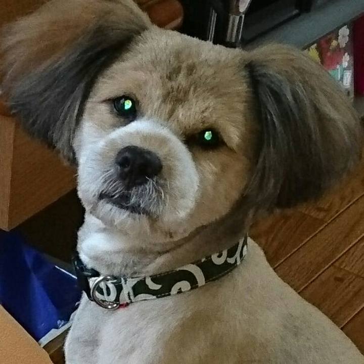 7965606f 95b9 4914 9971 3a010c825356