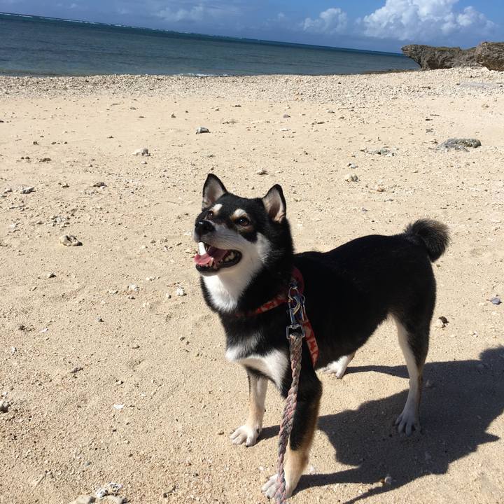 7966775d 61c8 4310 9b3d 828aa70a7cb9