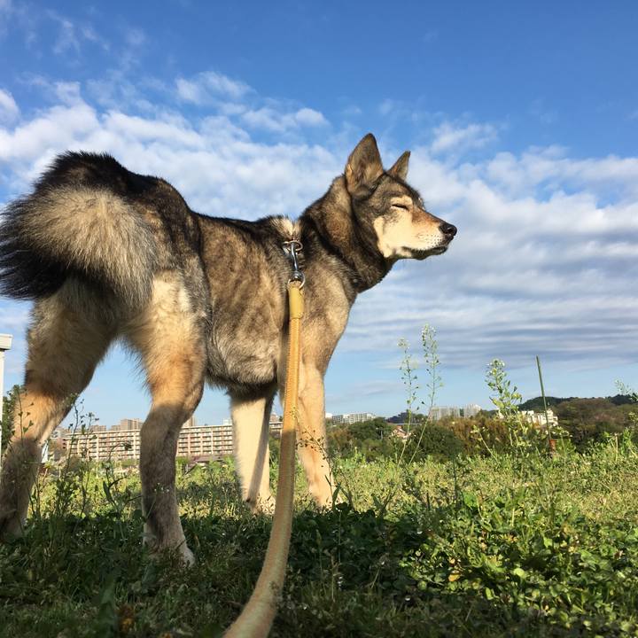 79672bcb f6db 49ec 97fe 75b5e0f7855f