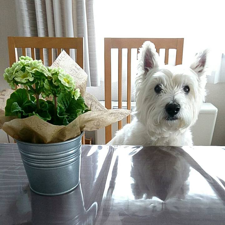 7967337e 8e48 4adf a338 dfc223f29ecc