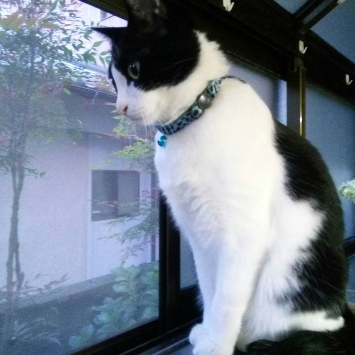 796756d8 8d75 49ae bd7d 9a0661e486f1