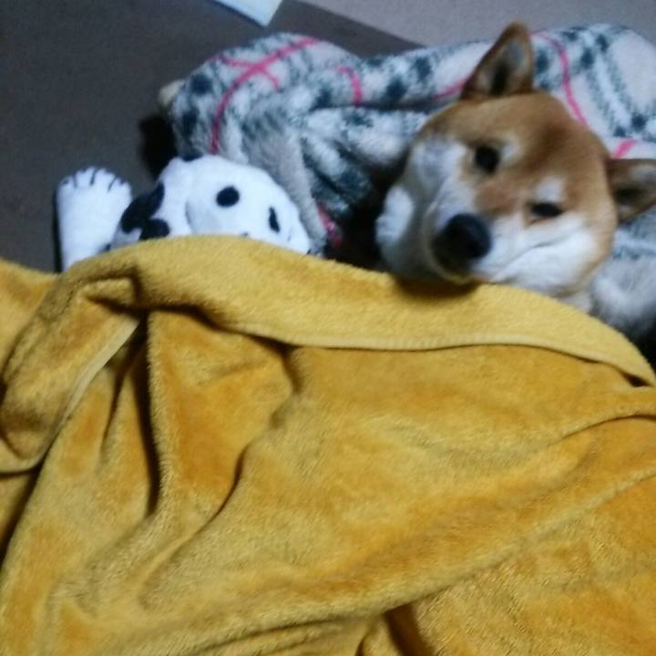 79675d84 f4ab 4343 9597 00553af5a8d0