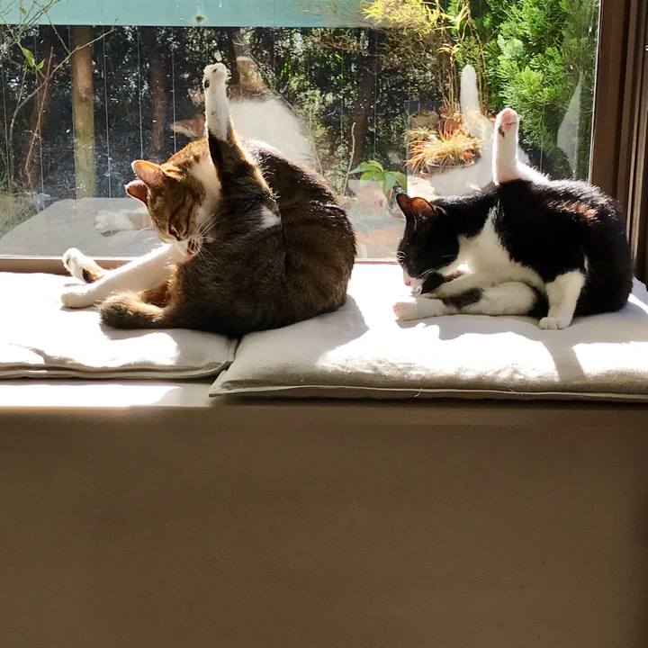 79677d36 4394 462c a130 8df1e9c25bf9