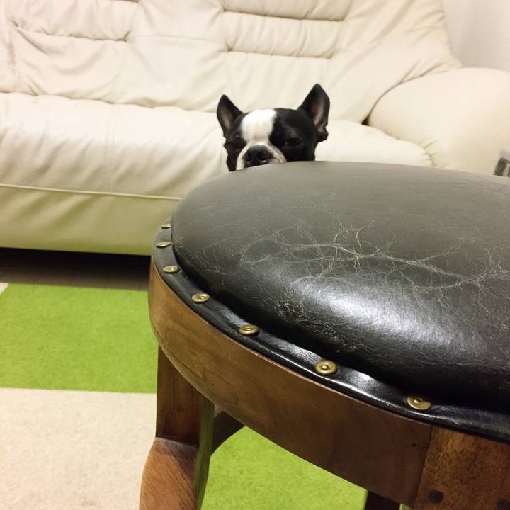 79682c4c f260 45eb bc42 40e8e9efe781