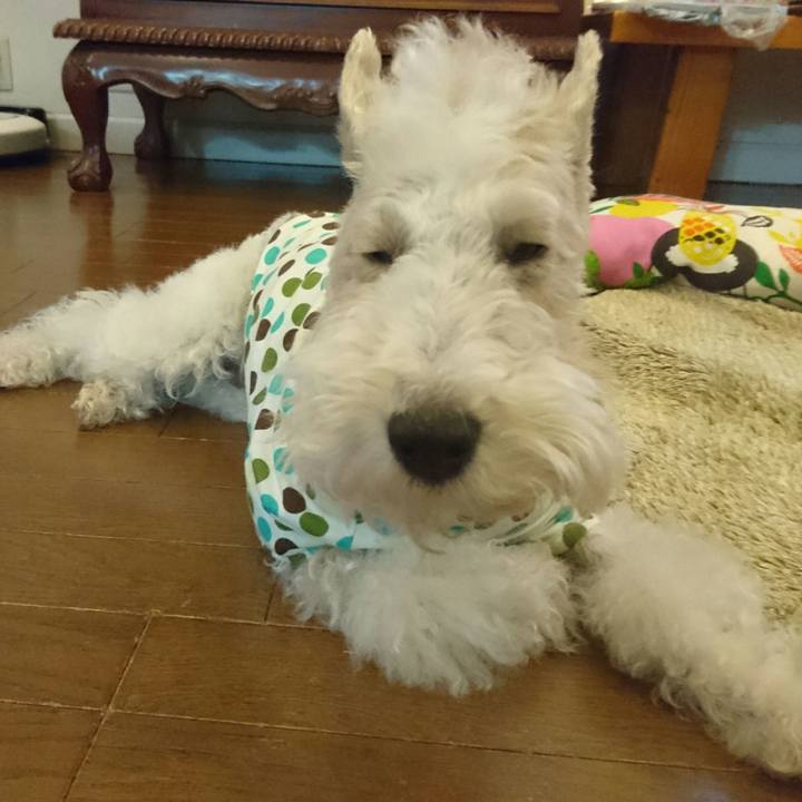 7968559c d5d3 4738 ab2d d364b993ad4a