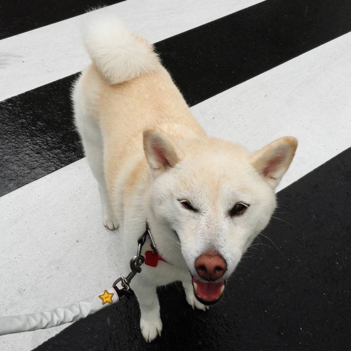 79686153 6487 4054 a195 555f04b2c643