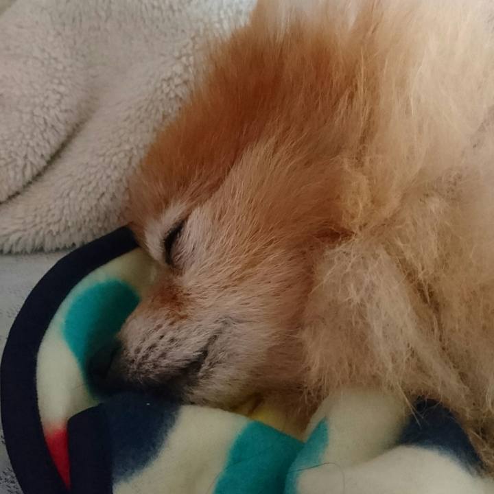 79687968 4c9c 41e3 9c5a b6a2f9046873