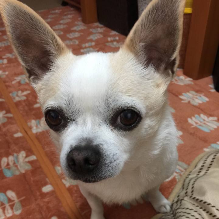 7968c10d 4376 42e1 9386 c86ff418ad8f