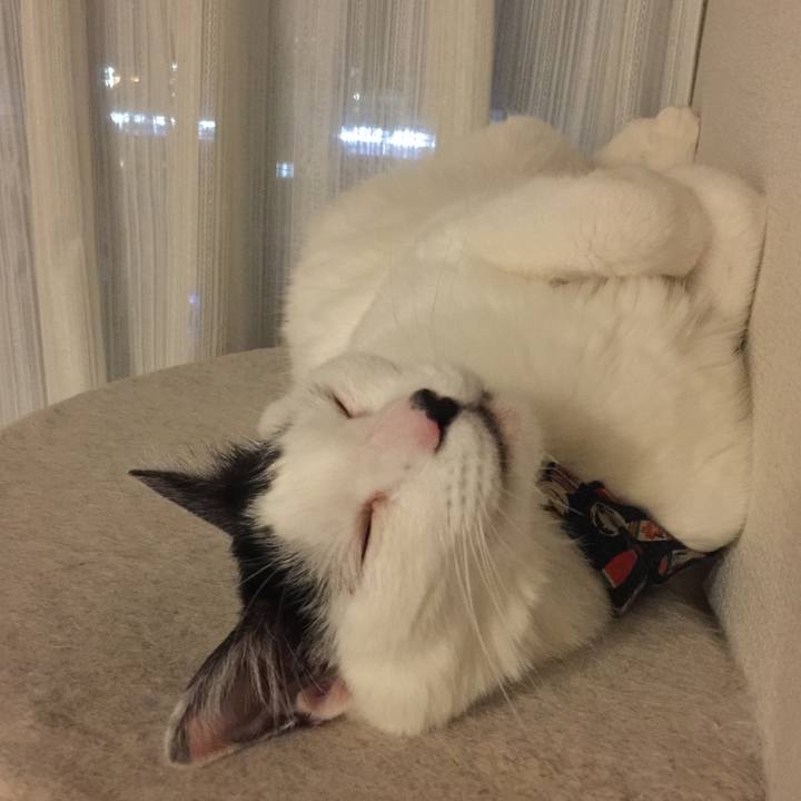 79694ec5 3b2a 46fb b4e9 25c79ef8d592