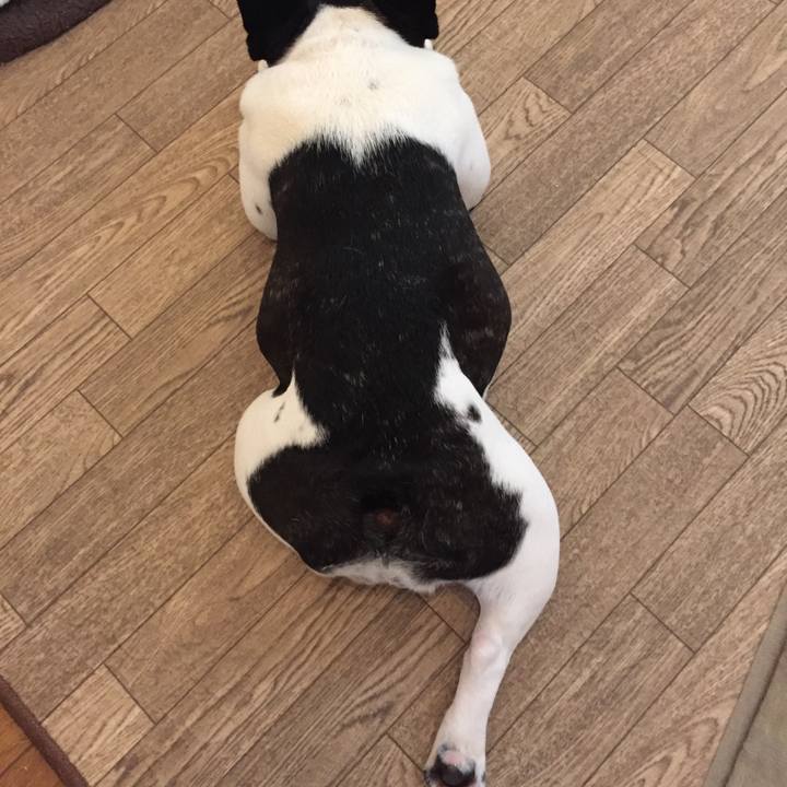 79696d00 9215 4083 980f 28cda8e69579