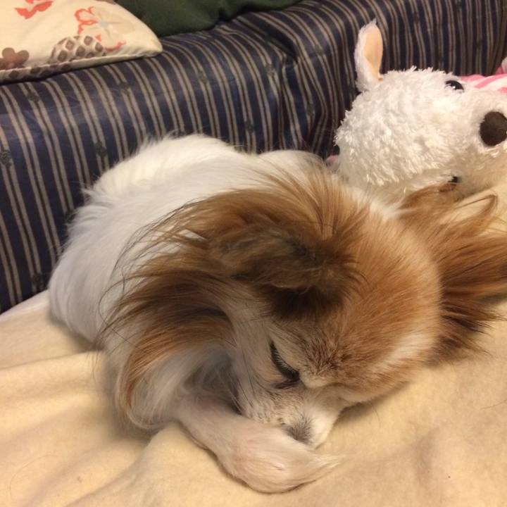 79697852 f0af 422d bcc4 3c5266154ae0