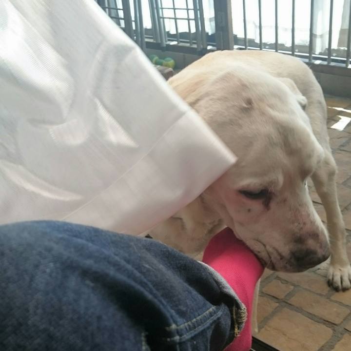 7969def7 e61f 4adc 8815 8f3279146b21