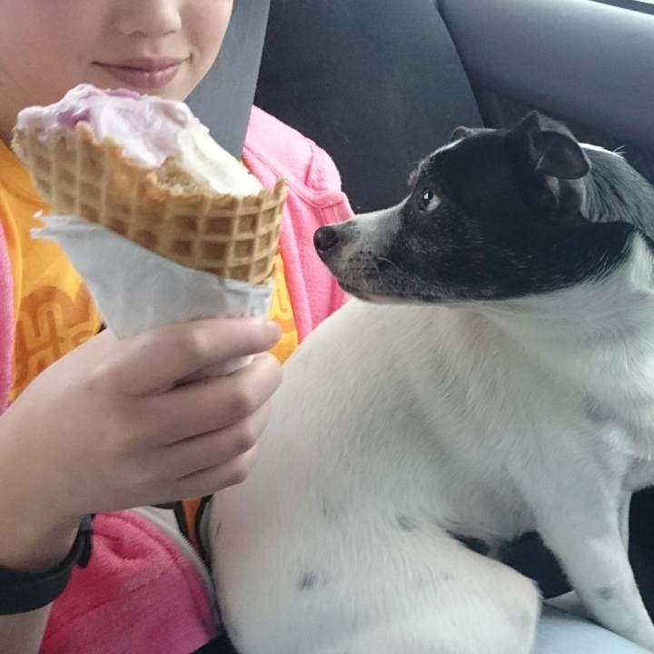 7969e0b1 bcdf 4d59 a7bf 35ab4fc58370