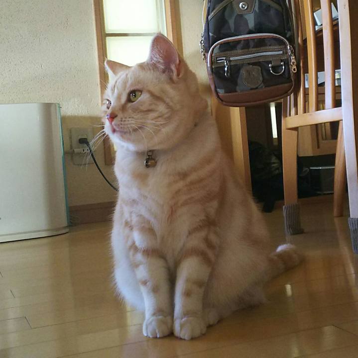 7969ea26 25d6 4ced b5a3 382a96fcf26f