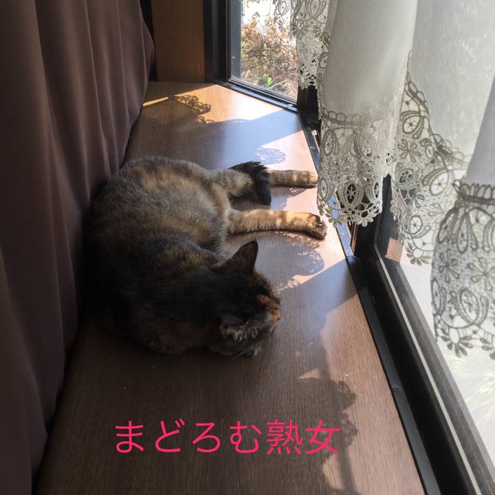 796a1318 558f 4496 9095 43e0d38f45c2