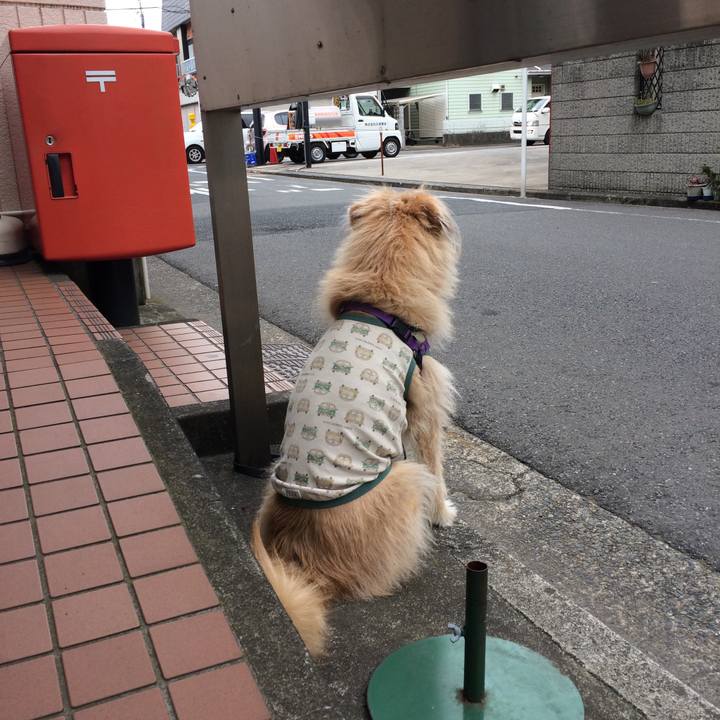 796aab46 7229 47ef 99ce 88a036aa7c52