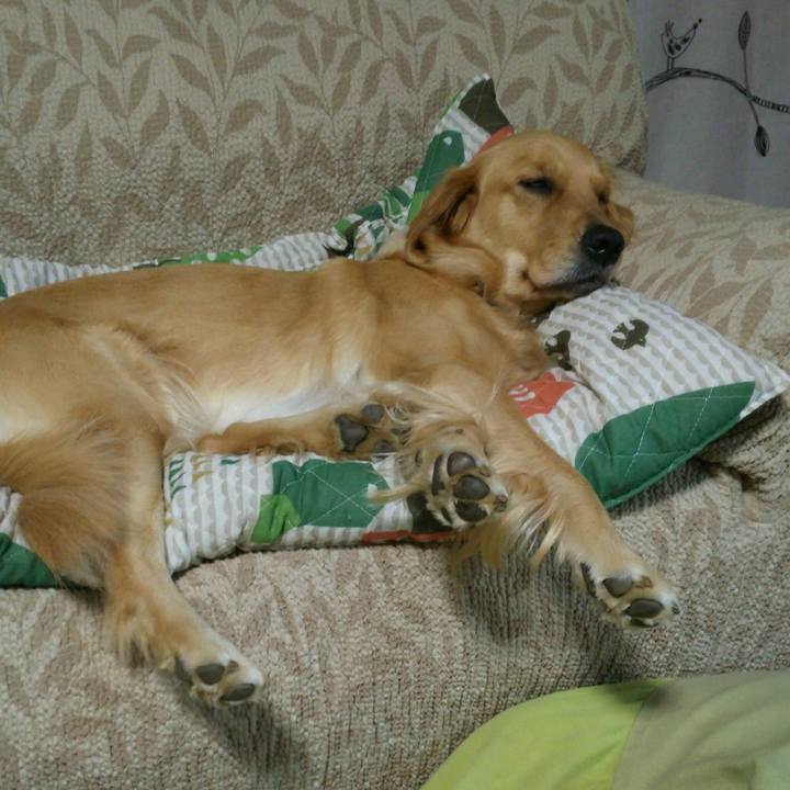 796b1fba 92e9 4a31 a6c0 b10840235ae7