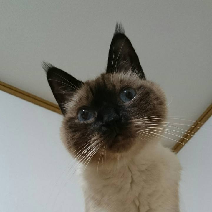 796b66d5 f2a0 40a8 a470 c4a2d758b5f8