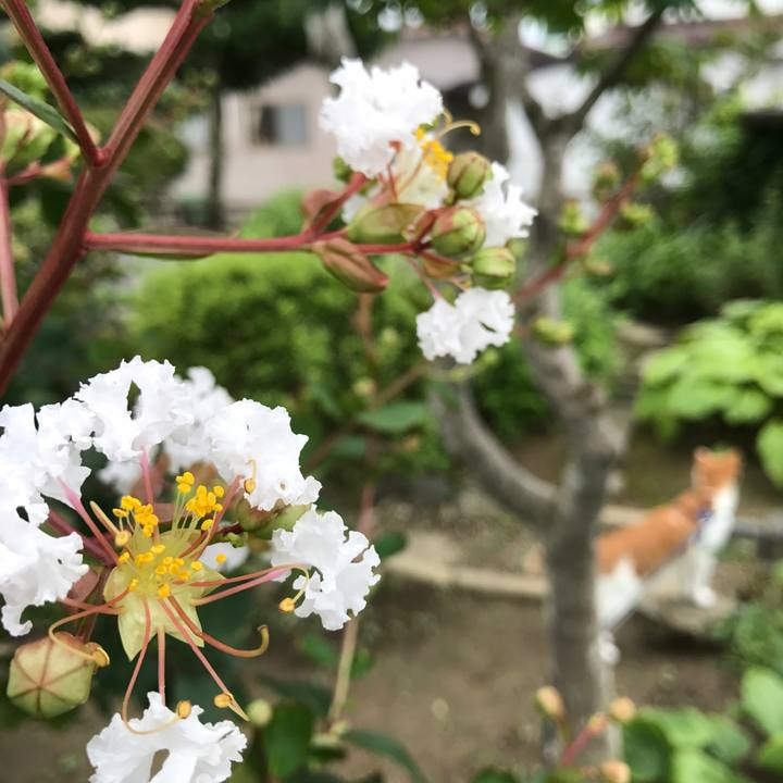 796b7230 fe91 4484 9b0e 17b46c792d4a