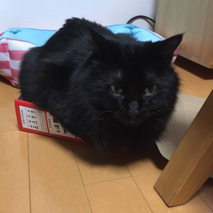 796b8e5c 5f2d 46b0 8800 1e8169e24d59