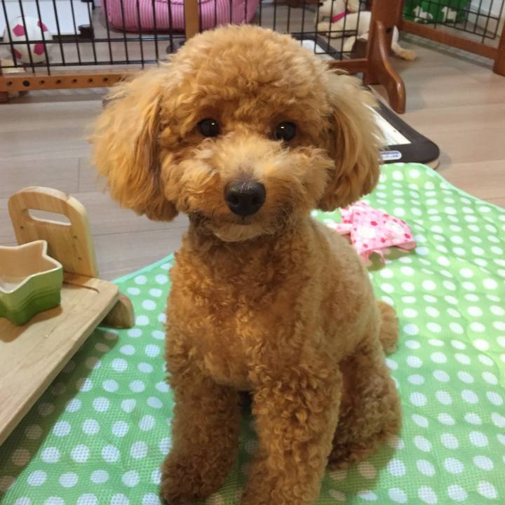 796be565 25f0 4e23 ba5f ad5f8ca82b55