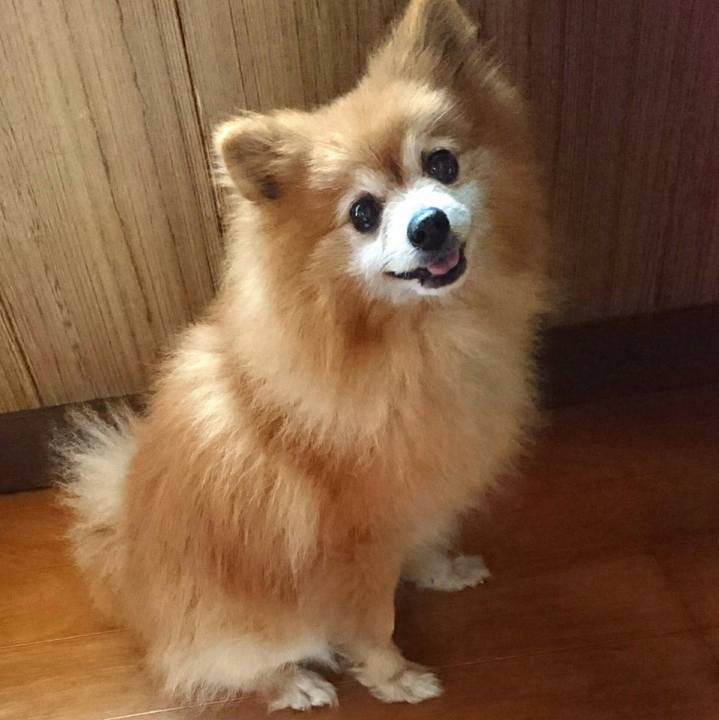 796c58d2 408c 425c 9204 981073a404f6