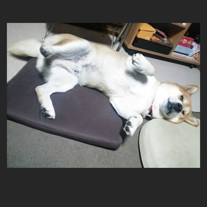 796e09a2 45b5 4a04 a049 01ac2fdb62e9