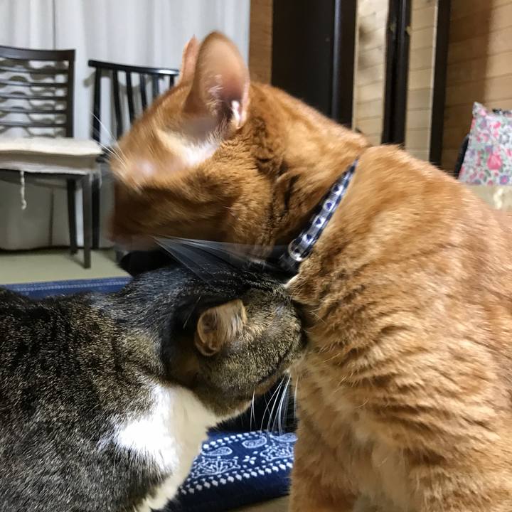 796e1b7d 02af 4826 b80f e6ea4ea3bfb2