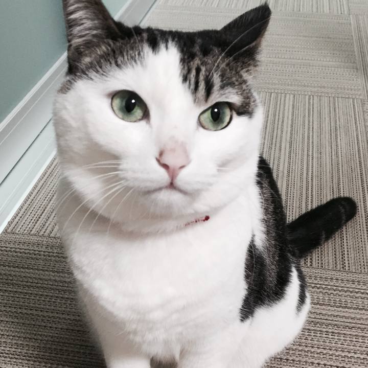 796e8cd8 2420 4727 a228 6dbab3d26933