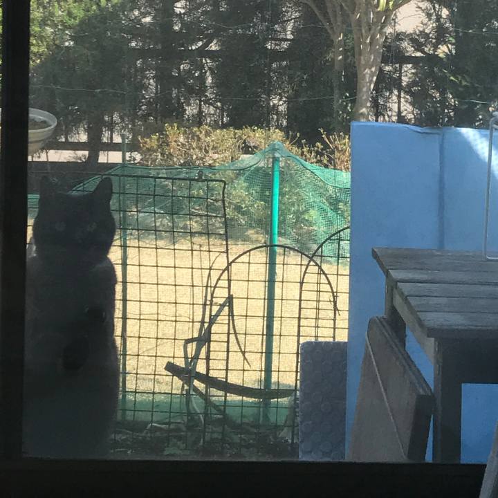 796edb0b 2495 48ec 8133 0fff2d11c850