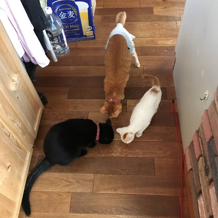 796f7116 89f1 4923 baaf 04f1ea08c6fe