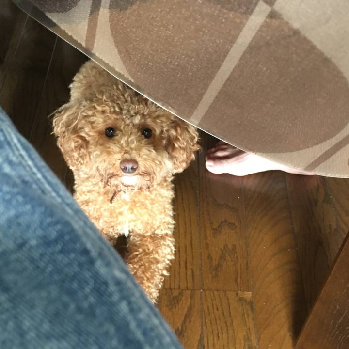 796f733f 8947 4aac a820 da91eb3e74a9