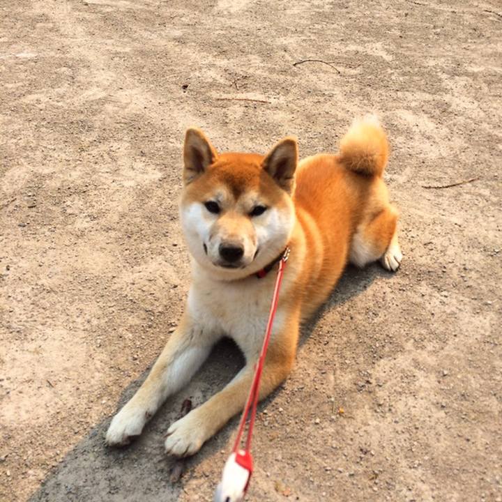 796ff3f8 ca2f 4335 8f3a 687da7c716c3