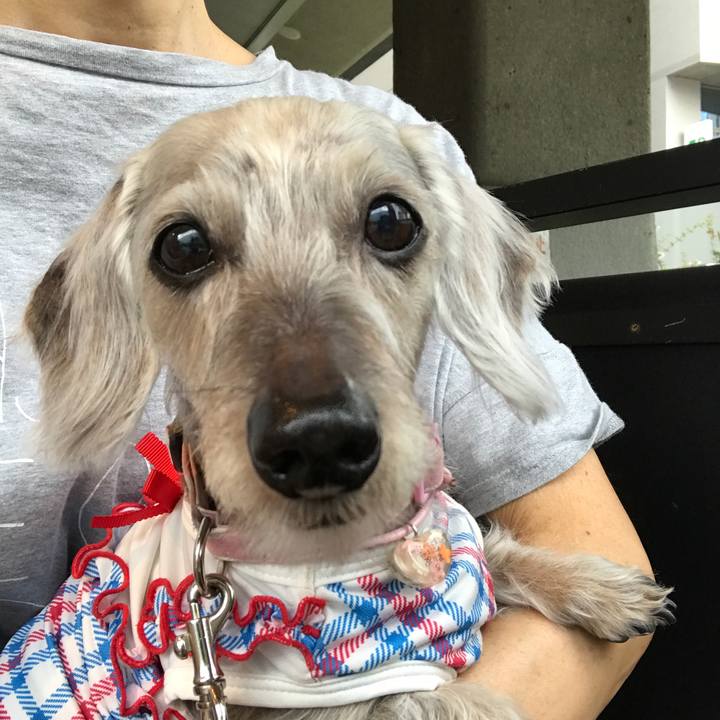 79700c04 67f7 4aa5 a193 ff9dfc0bc8f1