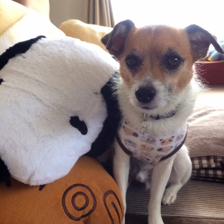 79704c78 f37f 4533 9f45 c18816598a93