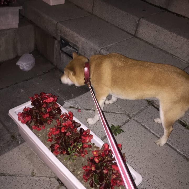 7970c32d 655a 4a4b 8c2a 72c8cd35bb4f