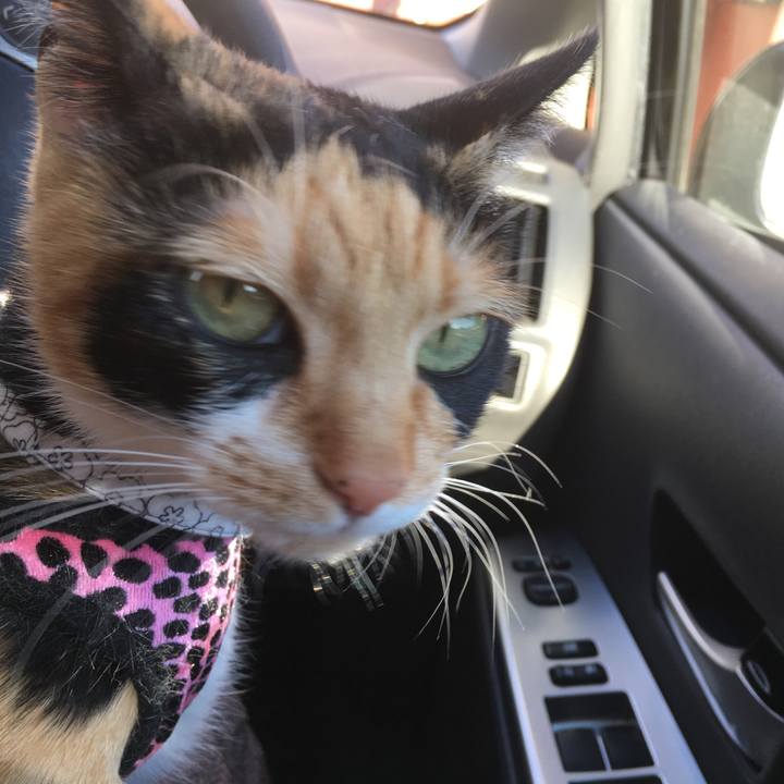 7971ab52 b45f 41eb a40c 4984df08ec02