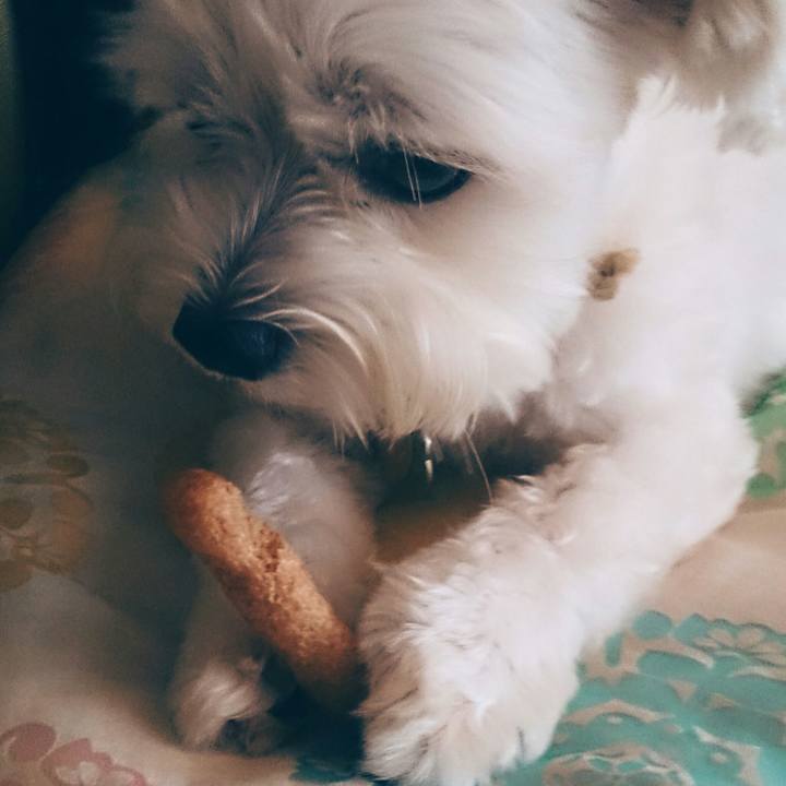 7971b46b c662 45fd a747 50b5e0695e74