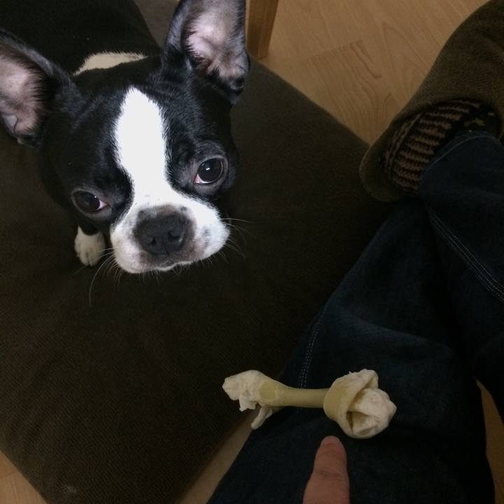 79721978 8ef4 4014 a7a0 9cb4f033bb63