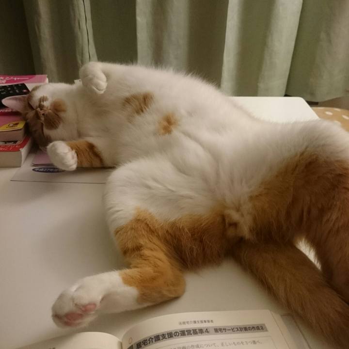 79724a63 93a0 4808 9a99 f23817cdb348