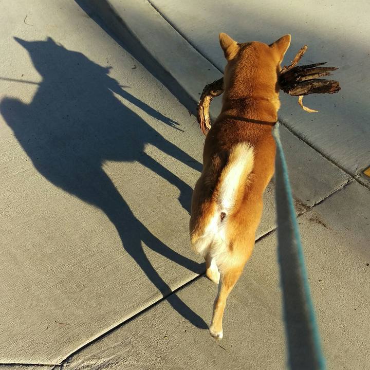 79728945 a687 47de b495 bad791a063b3