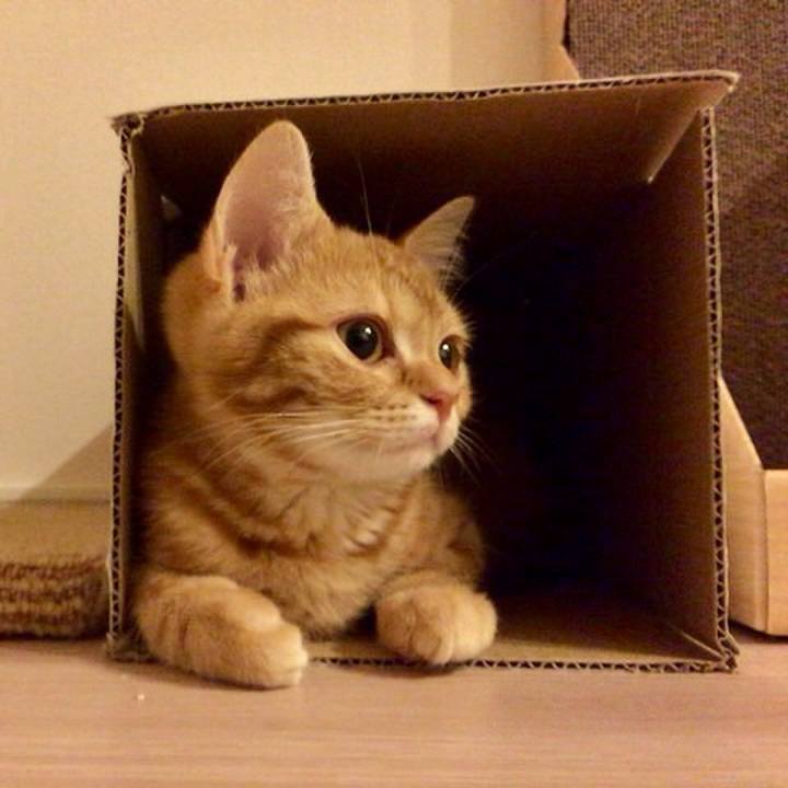 7974890b 0c2e 4459 af6a ae9118c93185