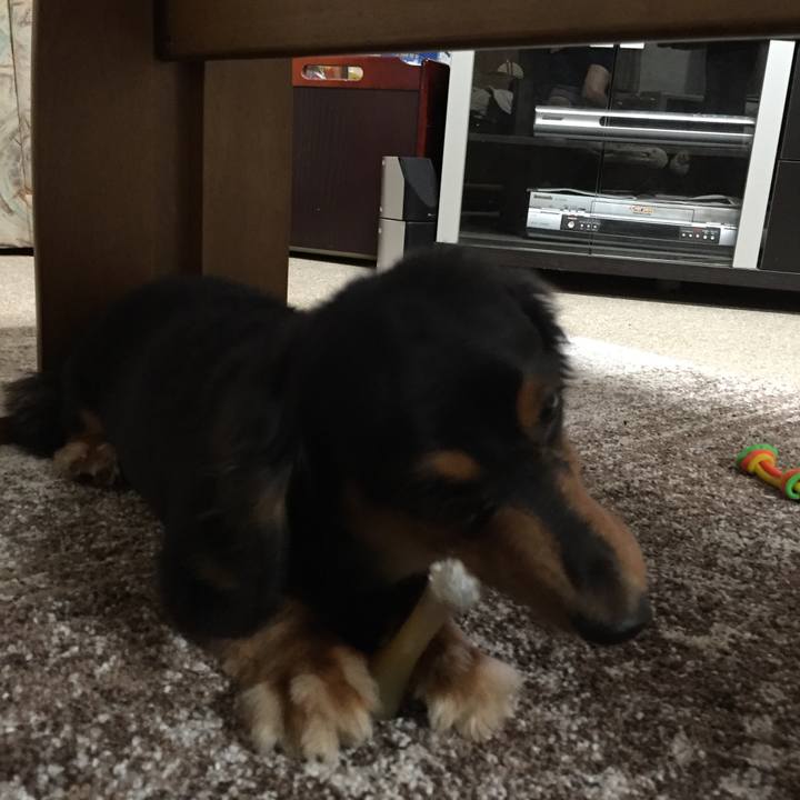 7974a462 14a5 4139 86d5 5e989f9fb792