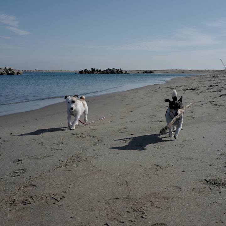 7975966a eb34 44c5 b2ca 04ce19d474d0