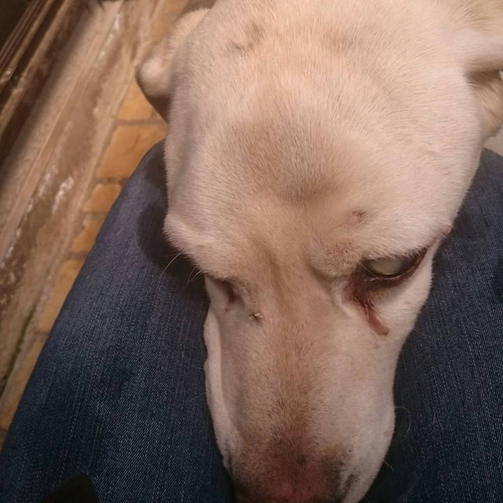 797732d5 200d 4a2d afbf a8e025d7f85e