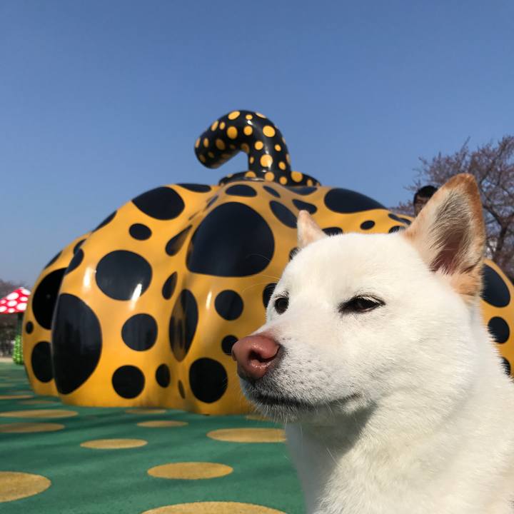 79776316 7319 4b20 bb09 9ee930450060