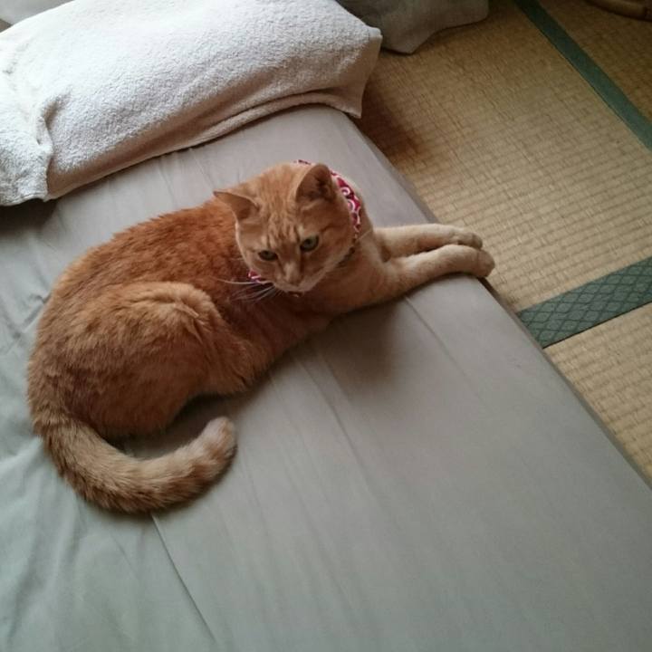 79782bbb 25eb 4932 b100 48cf964e9b5c