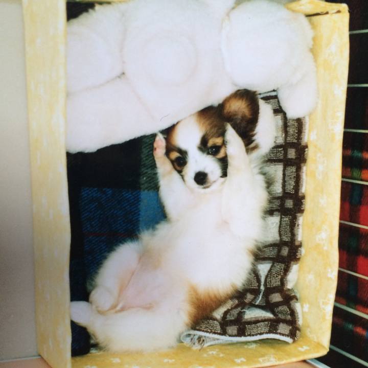 79784430 fb94 4a2e 965a 737acd834bca