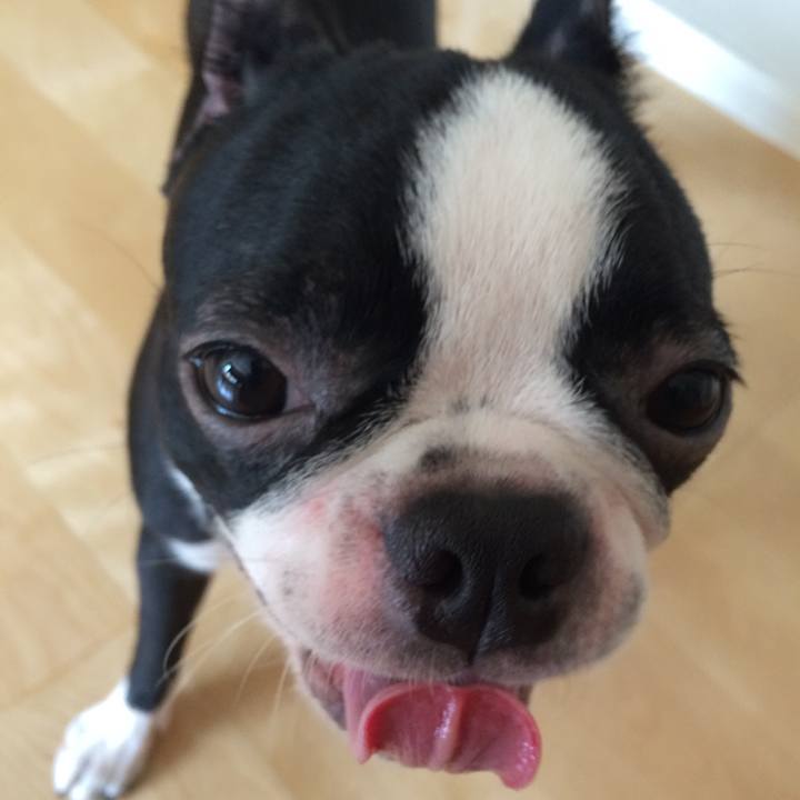 79789230 4c0b 4fa1 89bc eaa5e27466b2